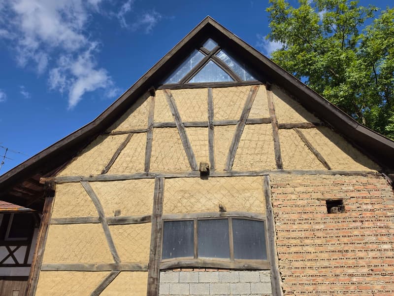 Illtal, Maison alsacienne rénovée 5 pièces (7)