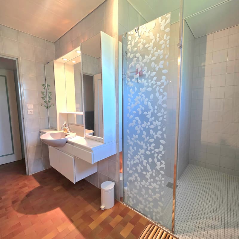 Maison de plain-pied sur 18,7 ares sur les hauteurs (8)