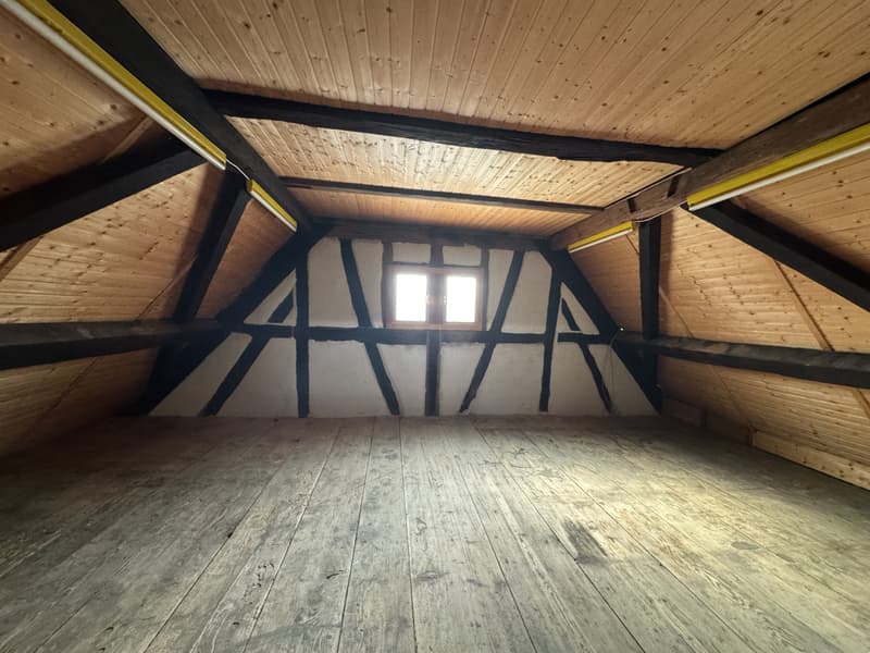 maison 5 pièces sur une beau terrain de 8.29 ares (9)