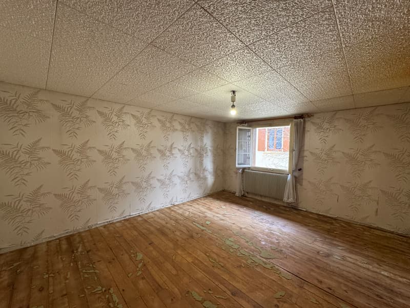 maison 5 pièces sur une beau terrain de 8.29 ares (8)
