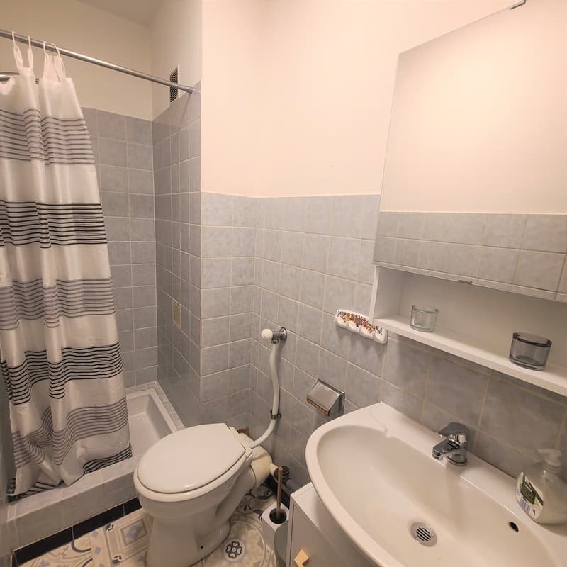studio meublé de 20m² au 3ème étage (3)