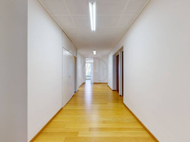 Große Büros - Genf (12)