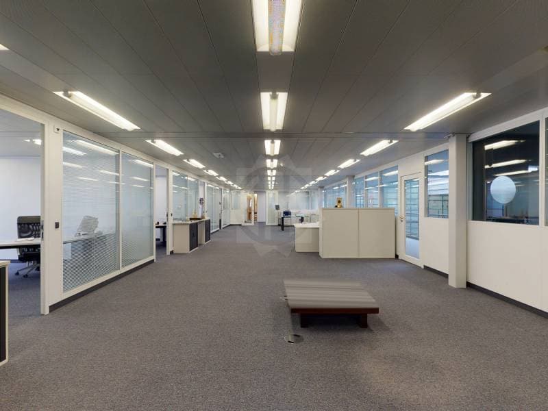 Surface Industrielle exceptionnelle - Meyrin (4)