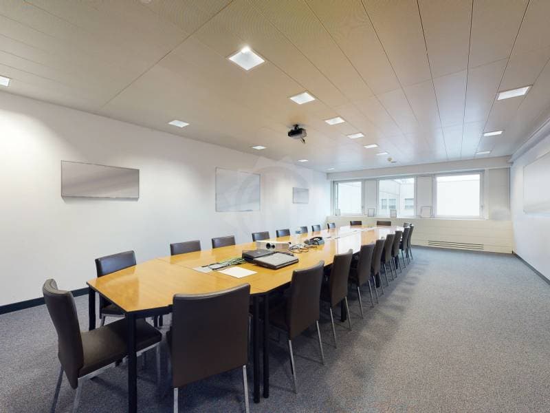 Surface Industrielle exceptionnelle - Meyrin (8)