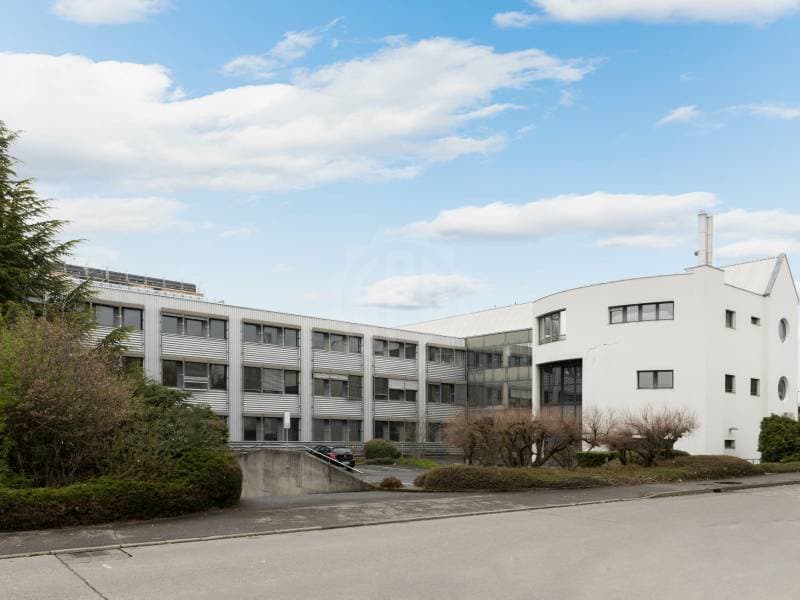 Surface Industrielle spacieuse - Meyrin (1)