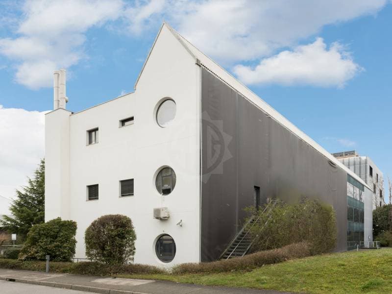 Grande surface industrielle - Meyrin (2)
