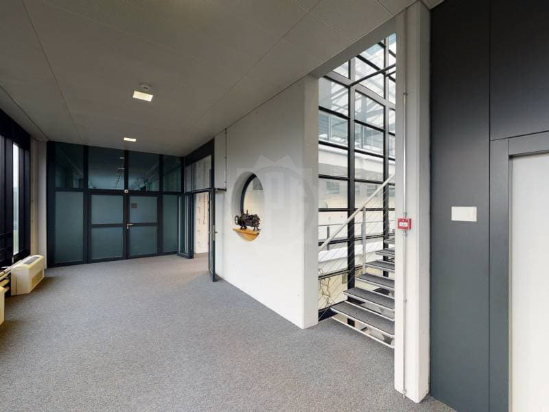 Grande surface industrielle - Meyrin (4)