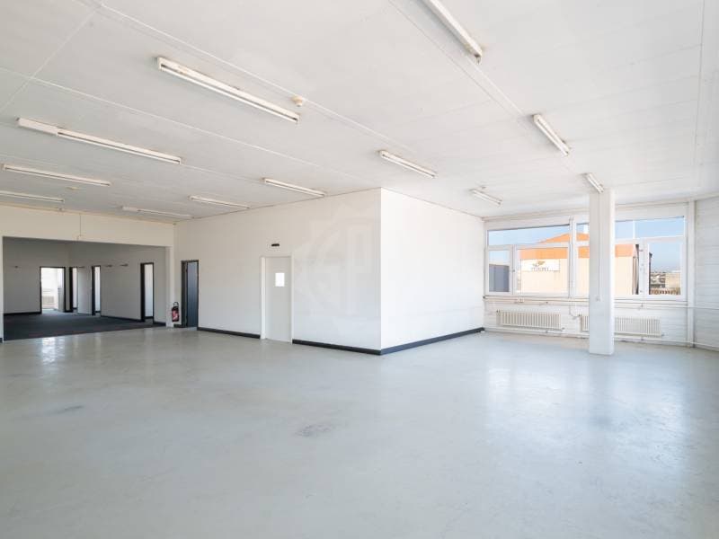 Belles surface industrielle - Grand-Lancy (2)