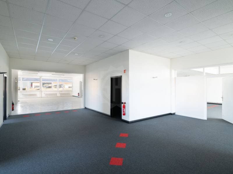 Belles surface industrielle - Grand-Lancy (3)