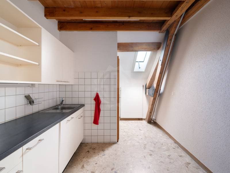 Bureaux spacieux - Carouge GE (4)