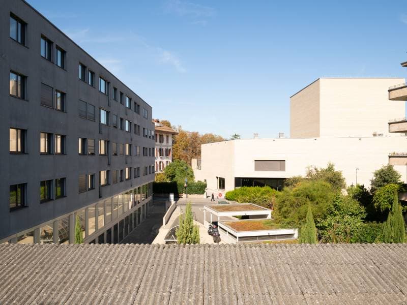 Bureaux spacieux - Carouge GE (6)