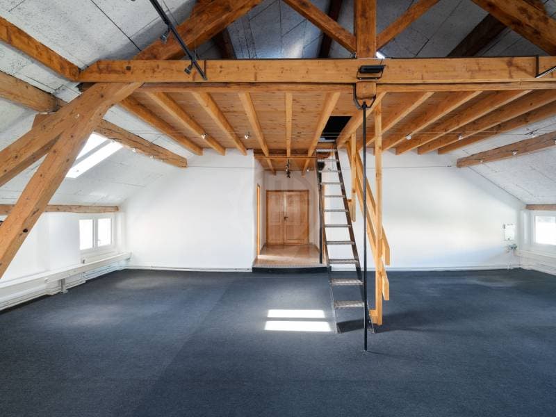 Spacious offices - Carouge GE (1)