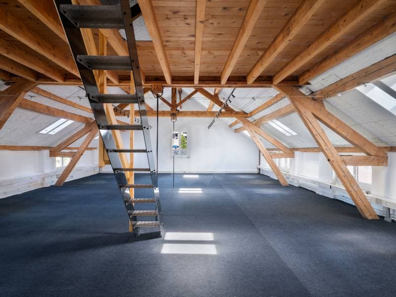 Bureaux spacieux - Carouge GE (2)