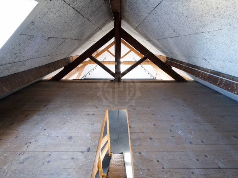 Bureaux spacieux - Carouge GE (3)