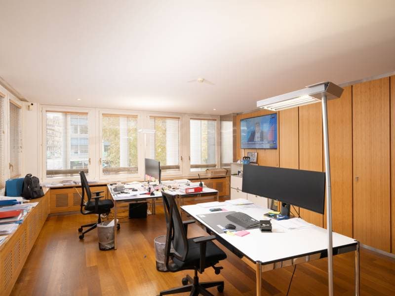Spacious offices - Geneva (8)