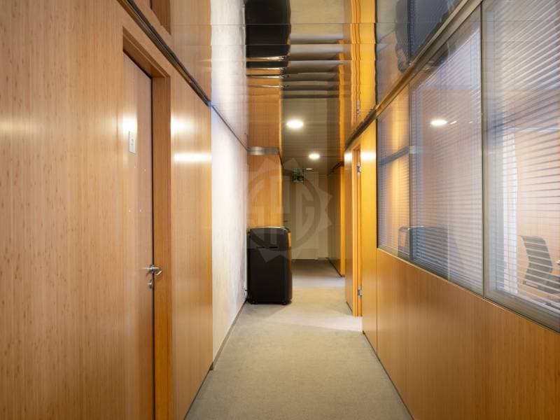 Spacious offices - Geneva (7)