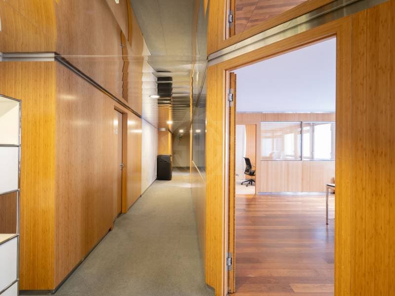 Spacious offices - Geneva (4)