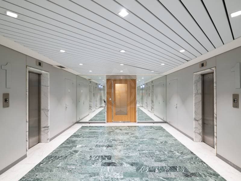 Spacious offices - Geneva (3)