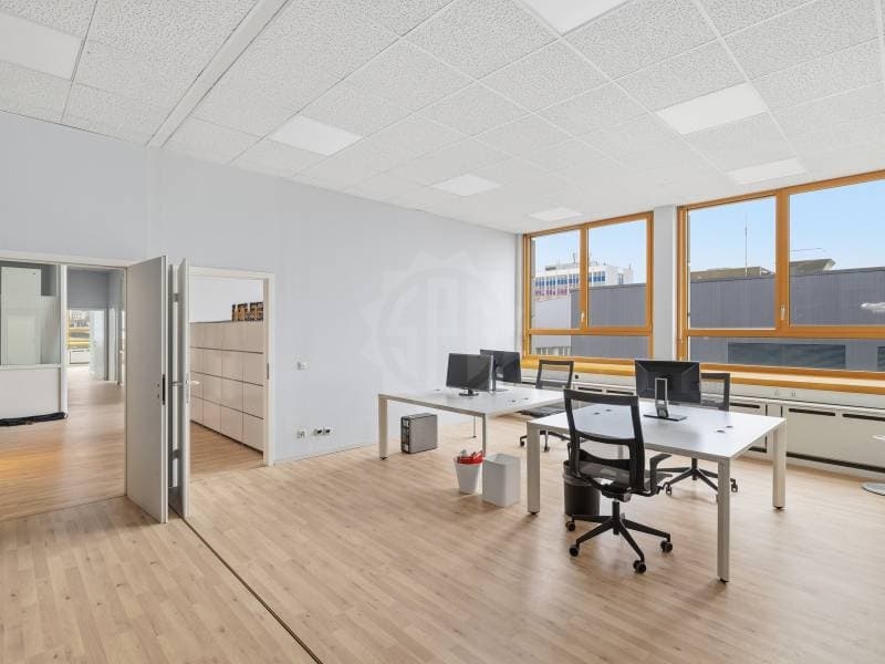 Bei uffici - Carouge GE (5)
