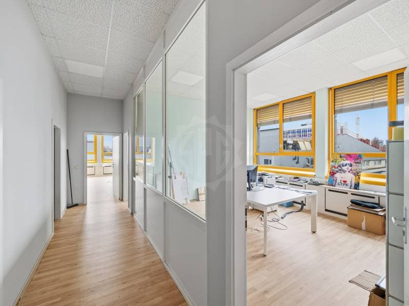 Bei uffici - Carouge GE (11)