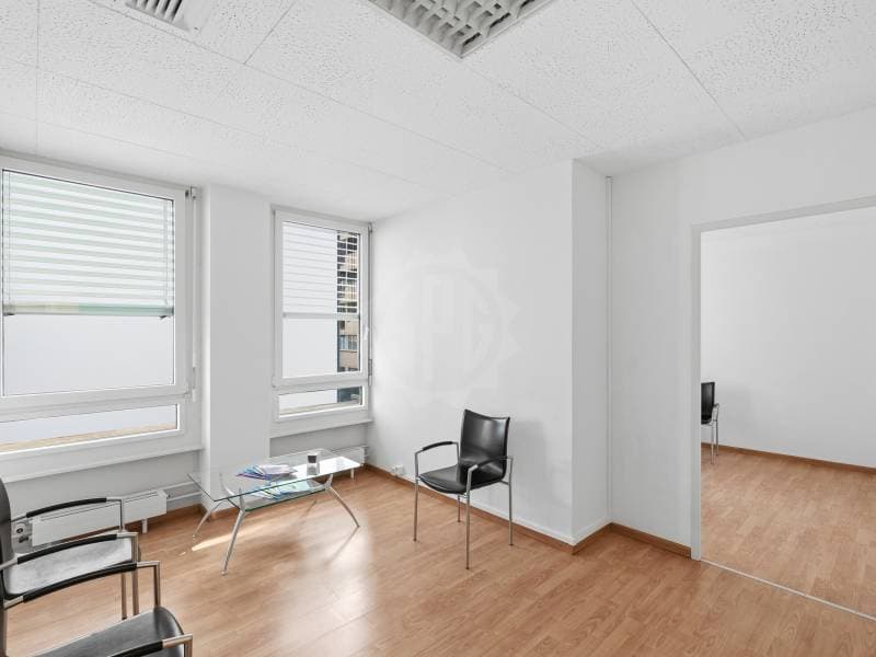 Bureaux spacieux - Genève (7)