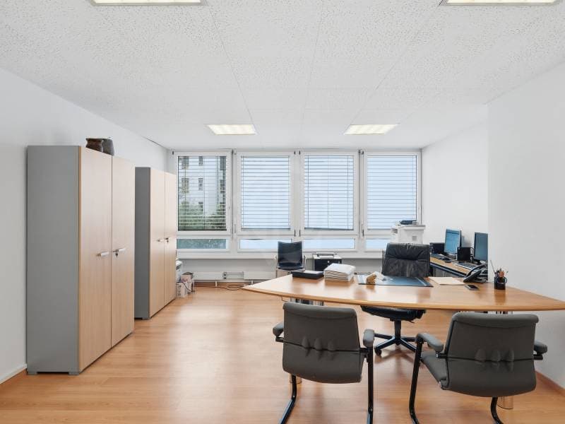 Bureaux spacieux - Genève (2)