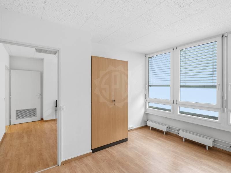 Bureaux spacieux - Genève (9)
