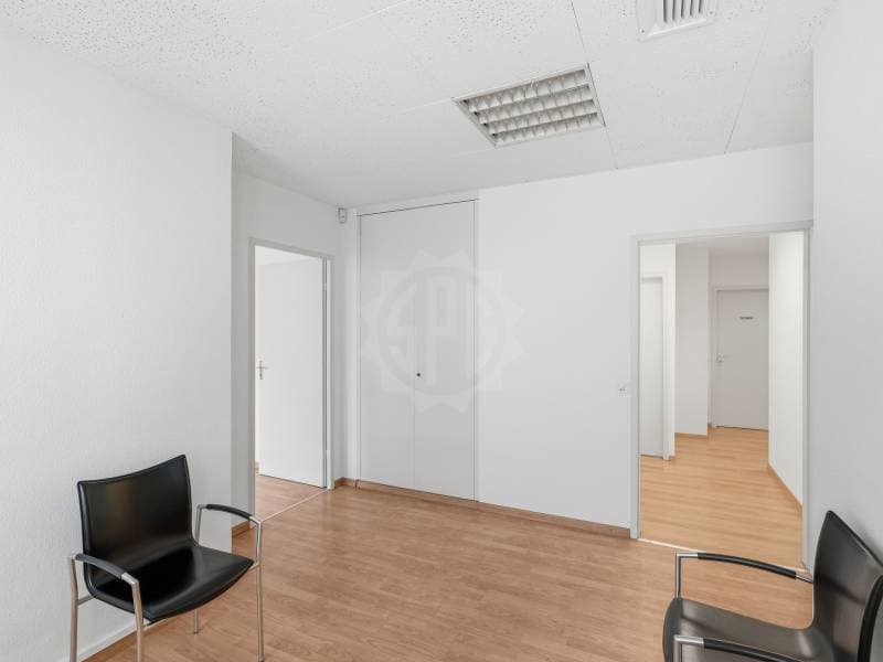 Bureaux spacieux - Genève (8)
