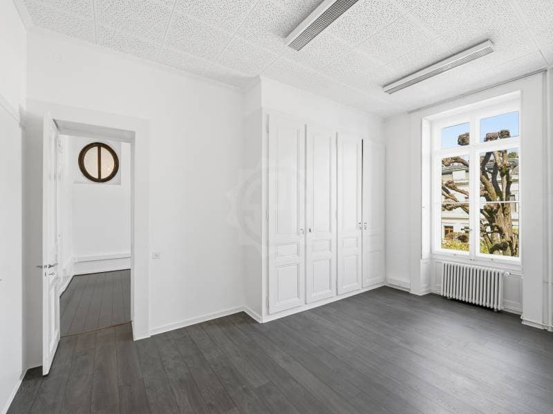 Prestigious offices - Geneva (4)