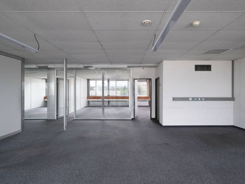 Beautiful offices - Meyrin (3)
