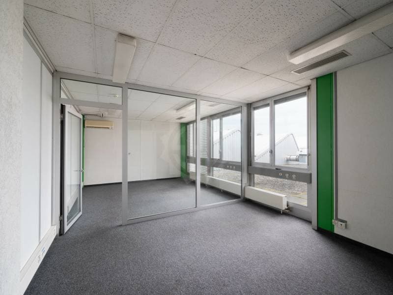 Beautiful offices - Meyrin (4)