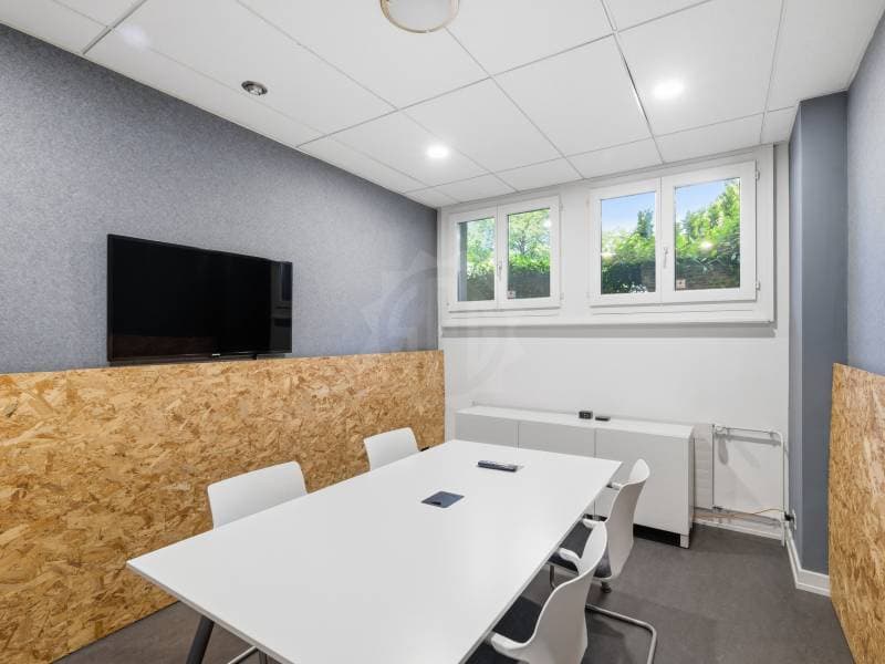 Beautiful offices - Petit-Lancy (7)