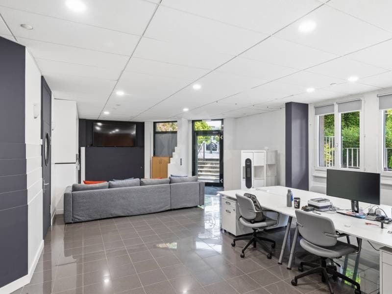 Belle bureaux - Petit-Lancy (4)