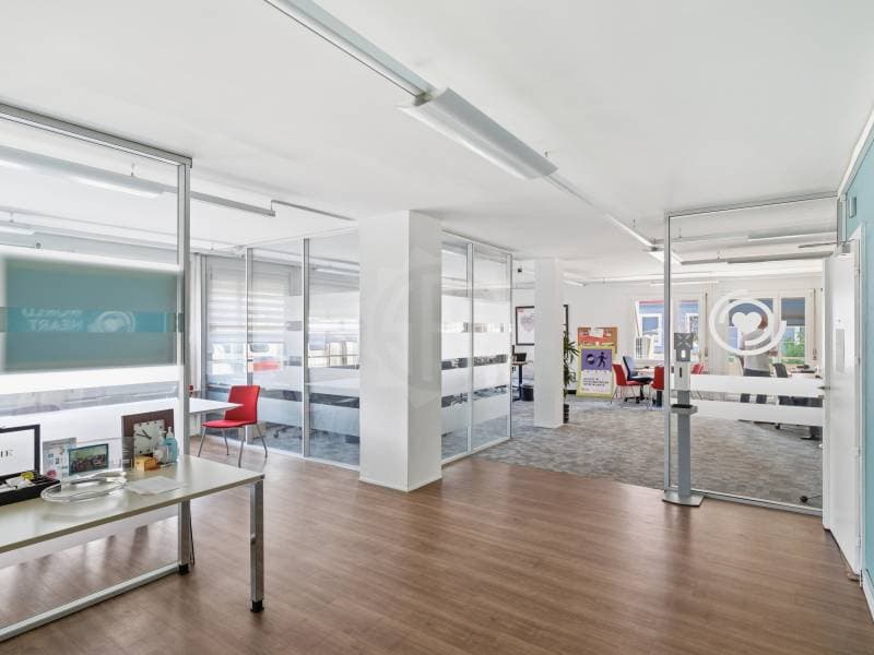 Bureaux agréable - Genève (2)