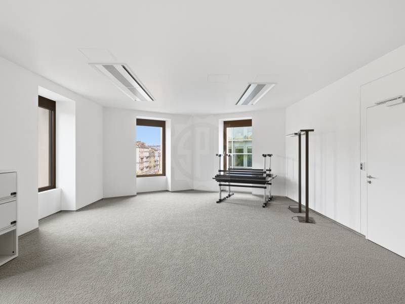 Bureaux prestigieux - Genève (6)