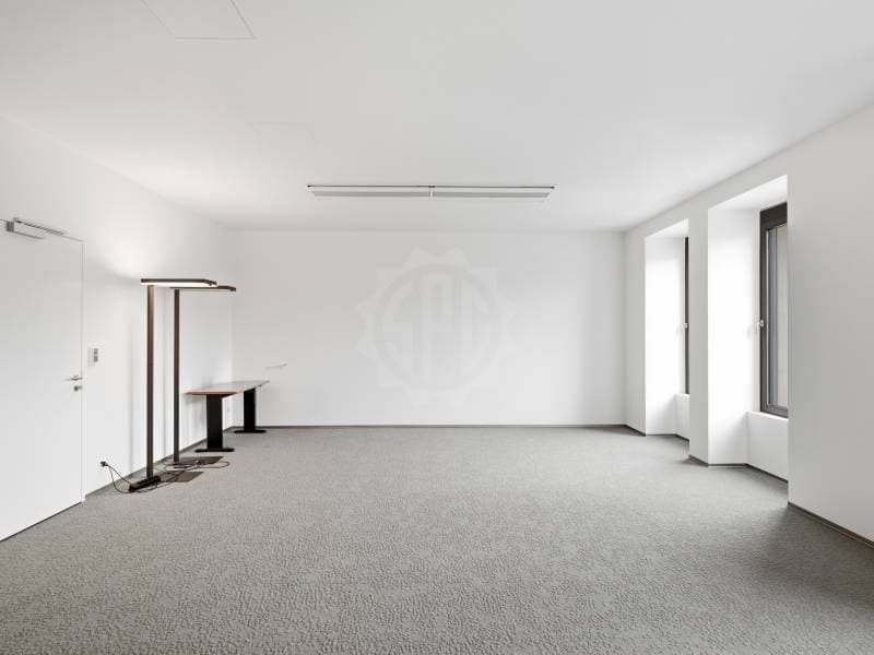 Uffici prestigiosi - Ginevra (7)