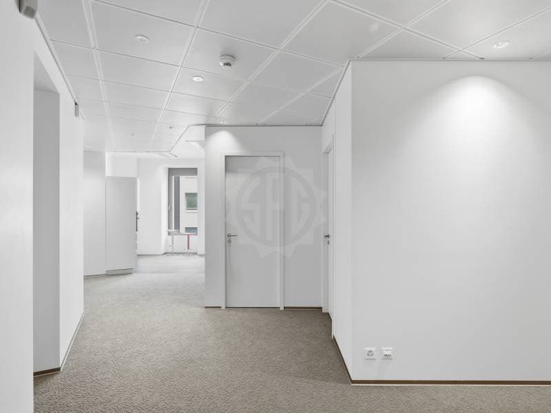 Uffici prestigiosi - Ginevra (4)