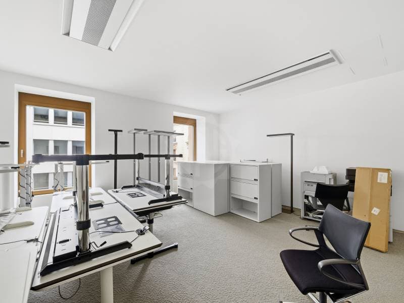 Uffici prestigiosi - Ginevra (9)