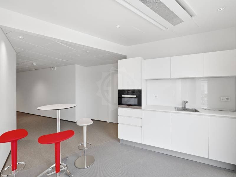 Uffici prestigiosi - Ginevra (10)
