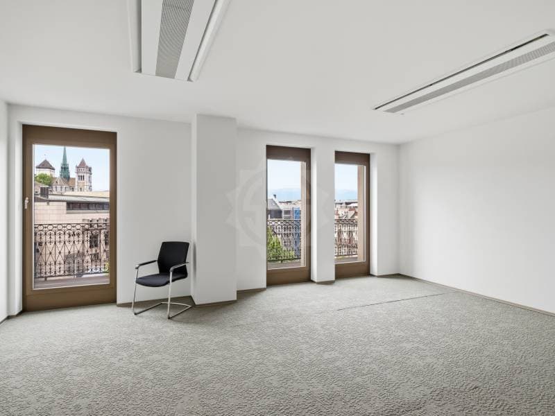 Bureaux prestigieux - Genève (9)
