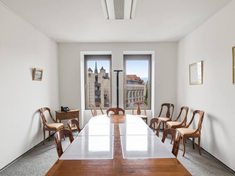 Uffici prestigiosi - Ginevra (5)