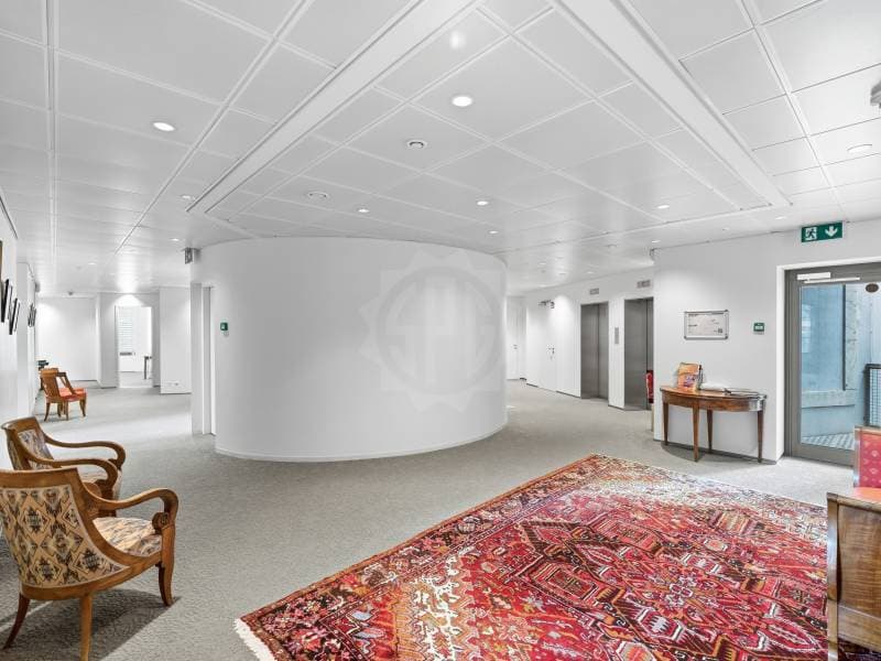 Bureaux prestigieux - Genève (4)