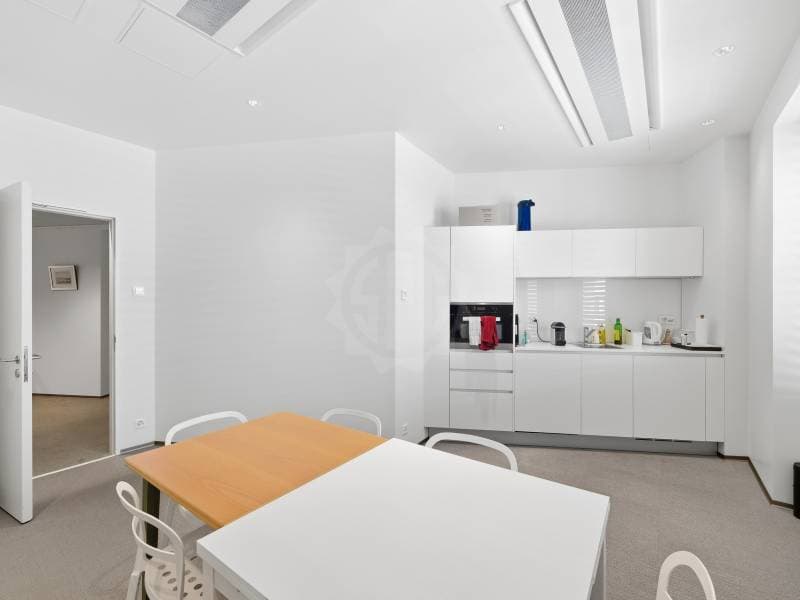 Uffici prestigiosi - Ginevra (10)