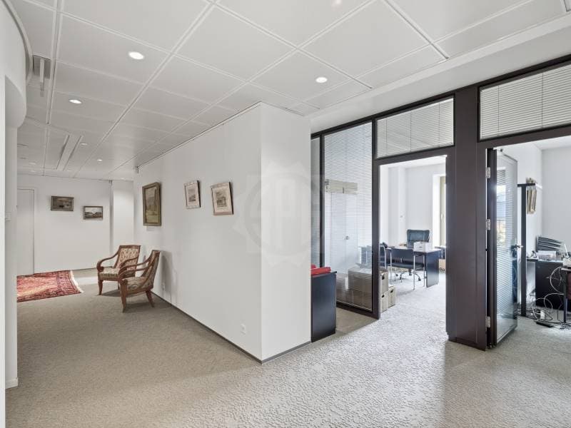 Bureaux prestigieux - Genève (8)