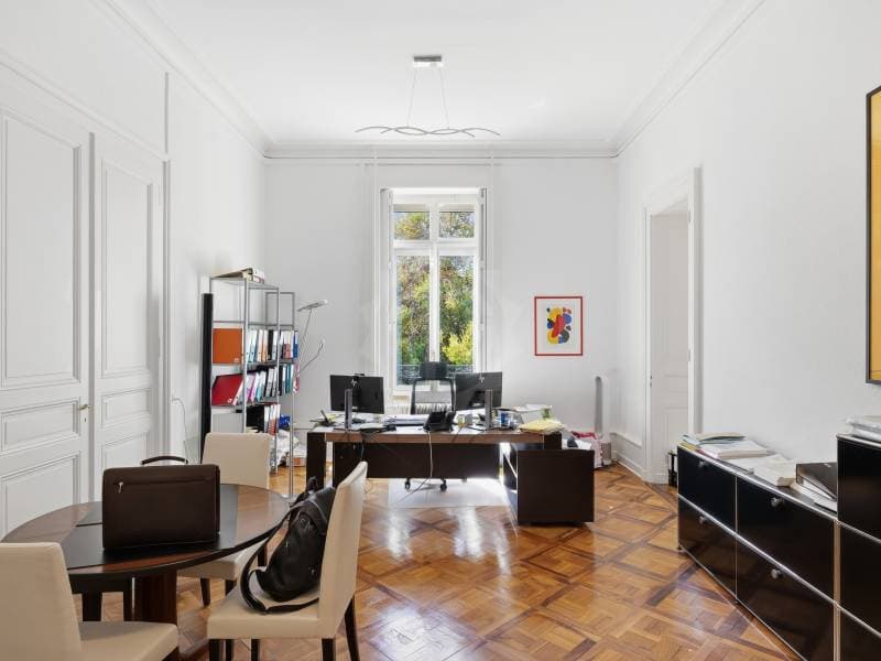 Bureaux prestigieux - Genève (10)