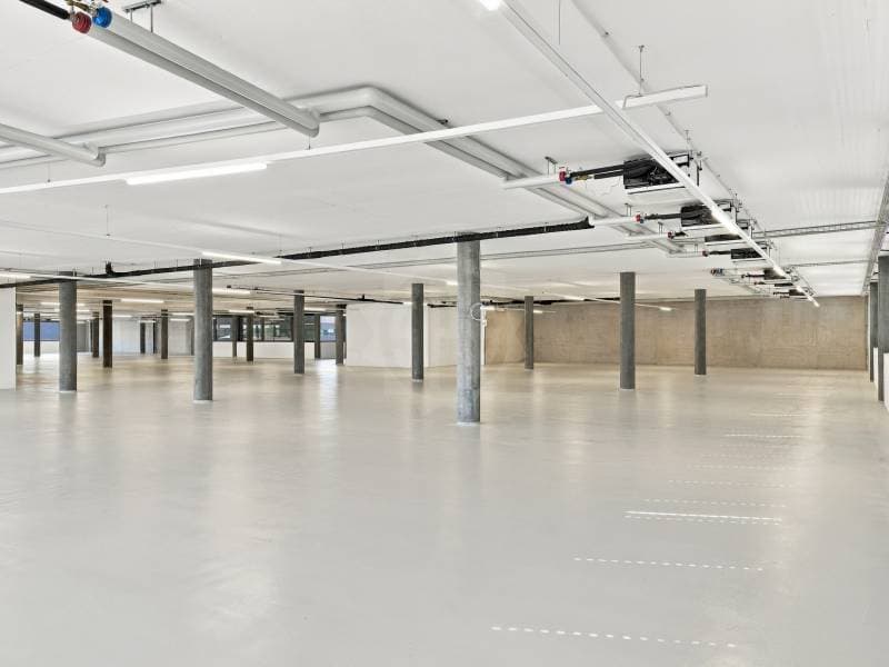 Surface Industrielle spacieuse - Plan-les-Ouates (2)