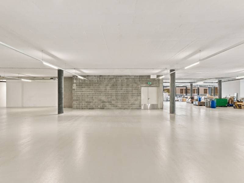 Surface Industrielle agréable - Plan-les-Ouates (3)
