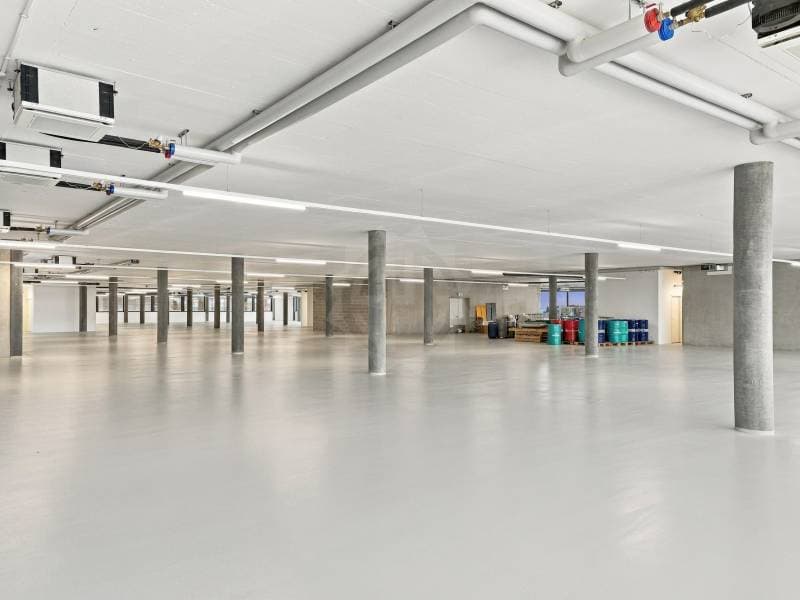 Grande surface industrielle - Plan-les-Ouates (3)