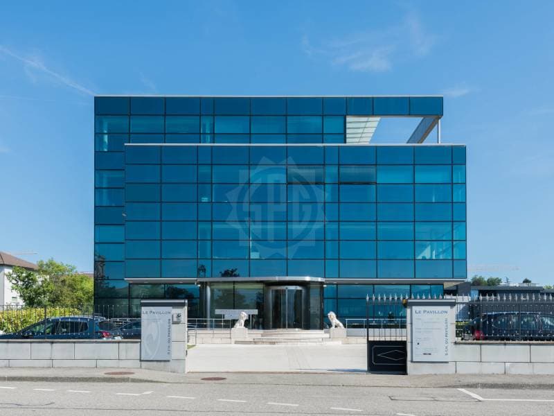 Bureaux spacieux - Le Grand-Saconnex (1)