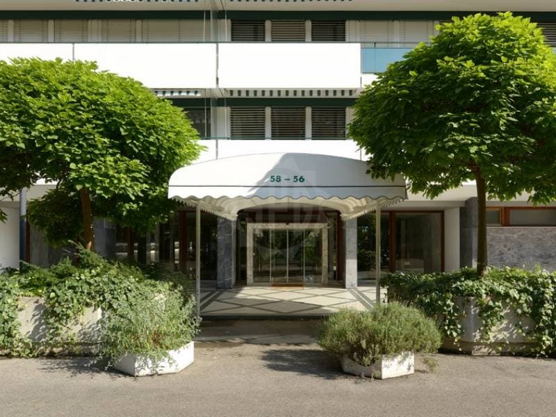 Uffici piacevoli - Ginevra (4)